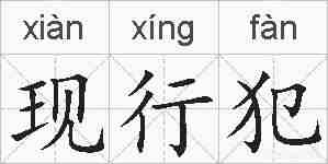 现行犯的拼音