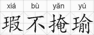 瑕不掩瑜的拼音