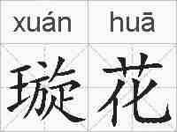 璇花的拼音