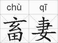 畜妻的拼音