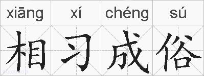 相习成俗的拼音