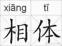 相体的拼音