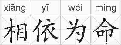 相依为命的拼音