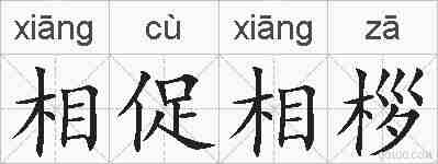 相促相桚的拼音