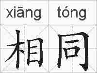 相同的拼音