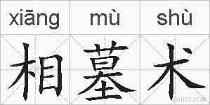 相墓术的拼音