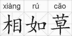 相如草的拼音