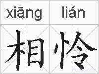 相怜的拼音