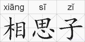 相思子的拼音
