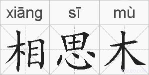 相思木的拼音