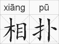 相扑的拼音