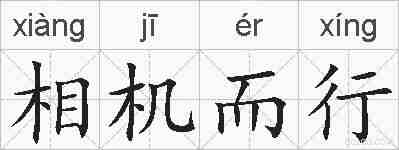 相机而行的拼音