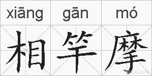 相竿摩的拼音