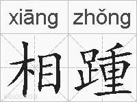 相踵的拼音