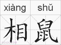 相鼠的拼音