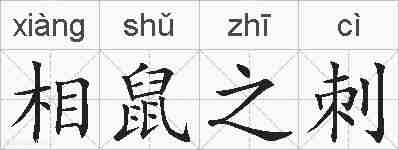 相鼠之刺的拼音
