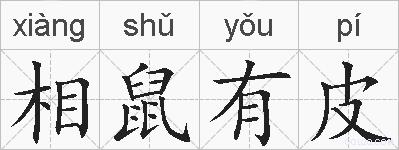 相鼠有皮的拼音