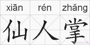 仙人掌的拼音