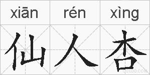 仙人杏的拼音