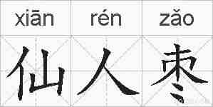 仙人枣的拼音