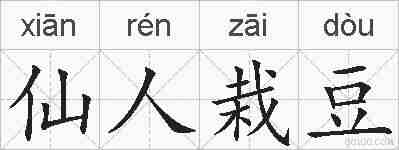 仙人栽豆的拼音