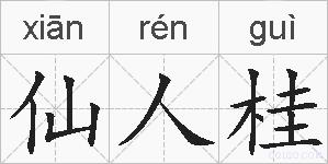 仙人桂的拼音