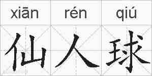 仙人球的拼音