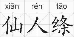 仙人绦的拼音