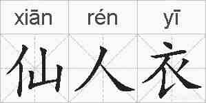 仙人衣的拼音