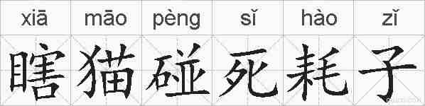 瞎猫碰死耗子的拼音