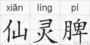 仙灵脾的拼音