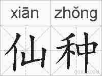 仙种的拼音