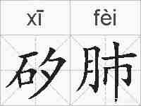 矽肺的拼音