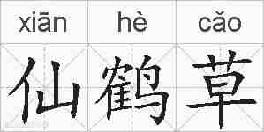 仙鹤草的拼音