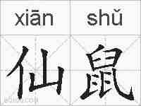 仙鼠的拼音