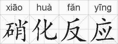 硝化反应的拼音