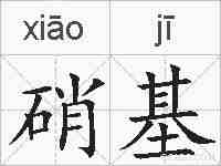 硝基的拼音