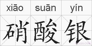 硝酸银的拼音