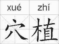 穴植的拼音