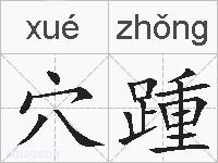 穴踵的拼音