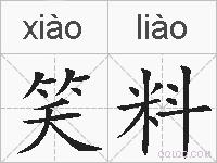 笑料的拼音