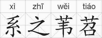 系之苇苕的拼音