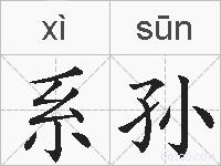 系孙的拼音