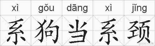 系狗当系颈的拼音
