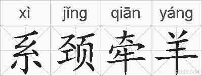 系颈牵羊的拼音