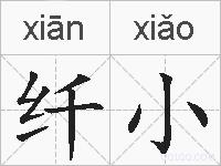 纤小的拼音