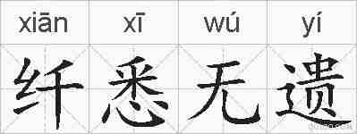 纤悉无遗的拼音