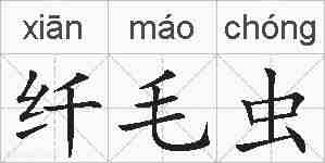 纤毛虫的拼音