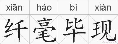 纤毫毕现的拼音