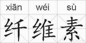 纤维素的拼音